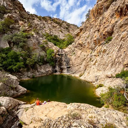 Degli Ulivi Murta Maria