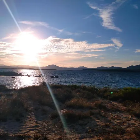 Degli Ulivi Apartmán