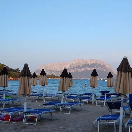 Degli Ulivi * Murta Maria