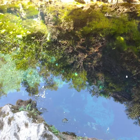 Degli Ulivi Murta Maria