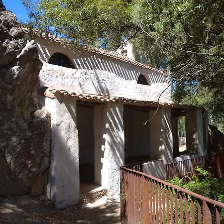 Degli Ulivi Murta Maria