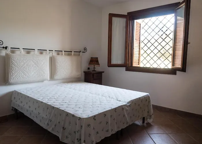 Degli Ulivi * ムルタ・マリア